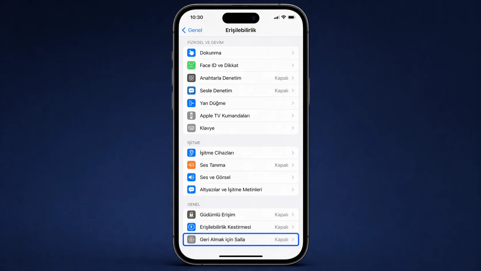 iPhone'da geri almak için salla özelliğinin Erişilebilirlik ayarları ekranındaki konumu