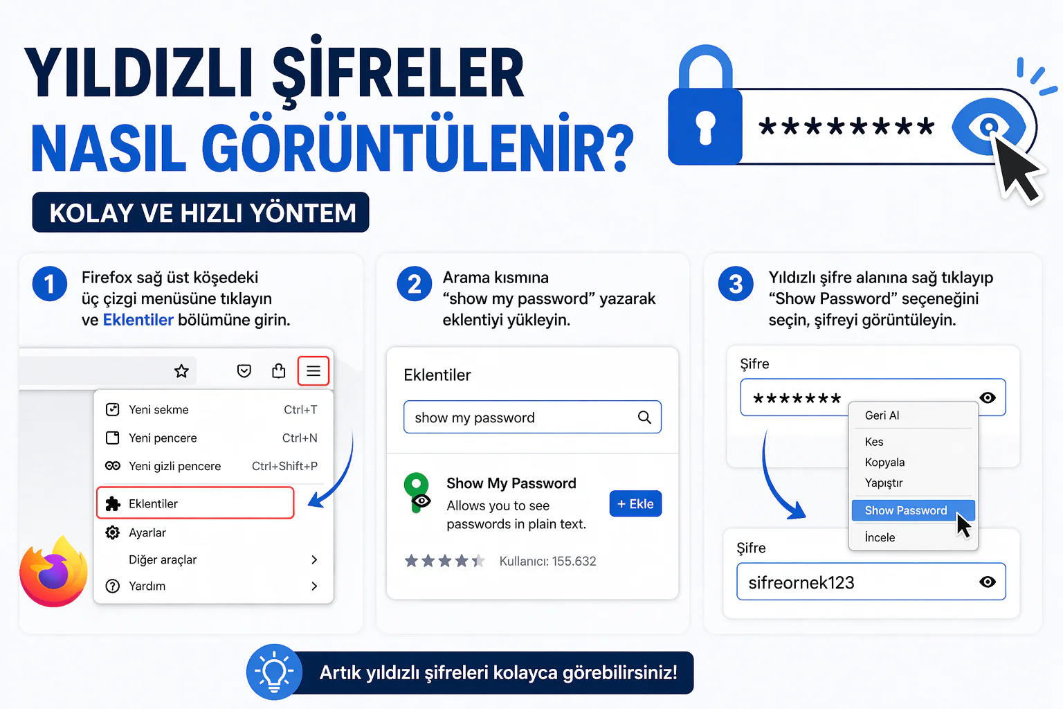 Yıldızlı Şifreler Nasıl Görüntülenir anlatımında tarayıcı eklentisi ve şifre gösterme ekranı