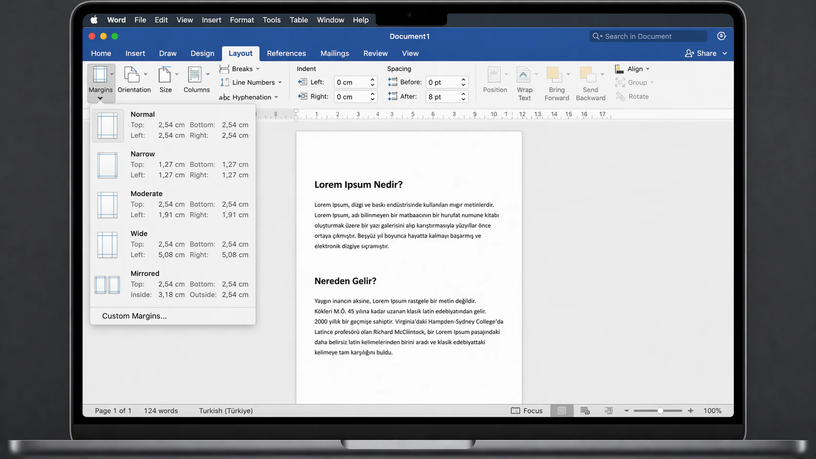 Mac Word sayfalar yan yana görünme sorunu için düzen ayar ekranı
