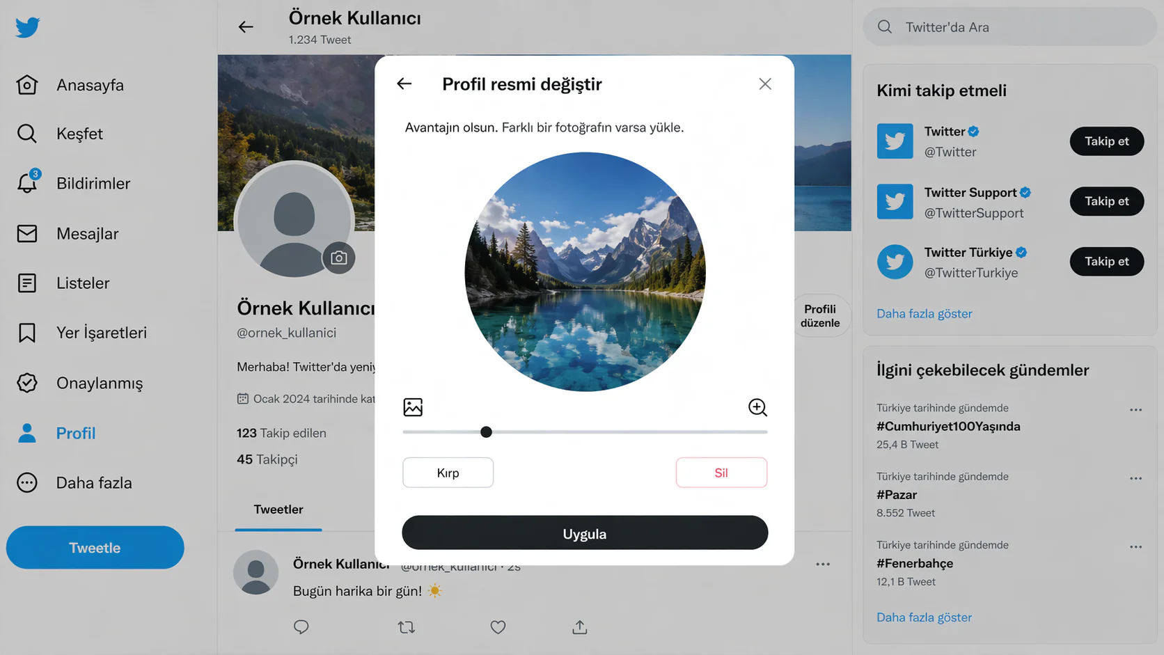 Twitter profil resmi ekleme ekranında fotoğraf yükleme ve uygula butonunun görüntüsü