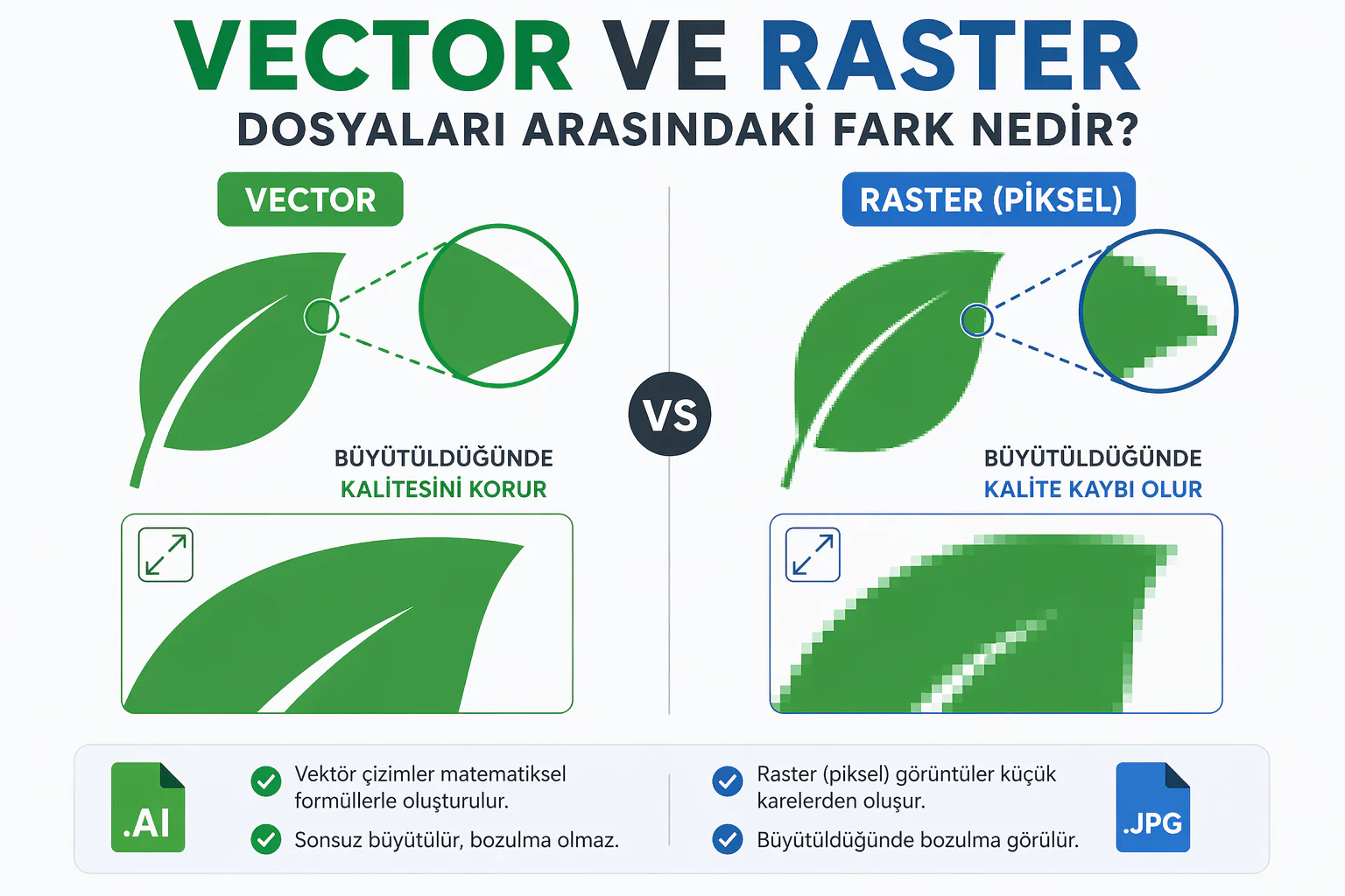 vector ve raster fark görselinde büyütmede kalite kaybı ve keskinlik karşılaştırması