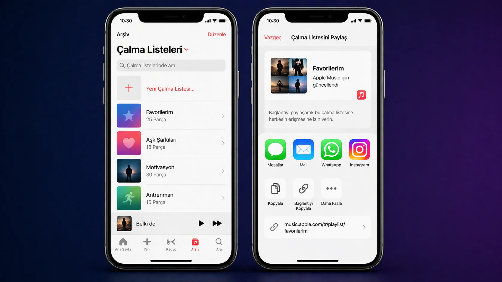 Apple Music çalma listesi paylaşma ve görüntüleme adımları iPhone ekranında