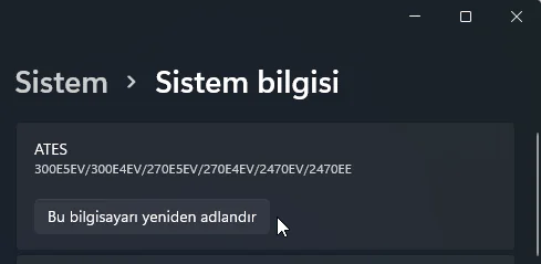 Windows 11 Bilgisayar Adı Değiştirme