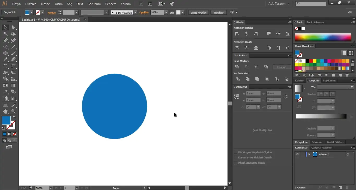 Illustrator CC Bir Nesneyi Belli Bir Ölçekte Küçültme