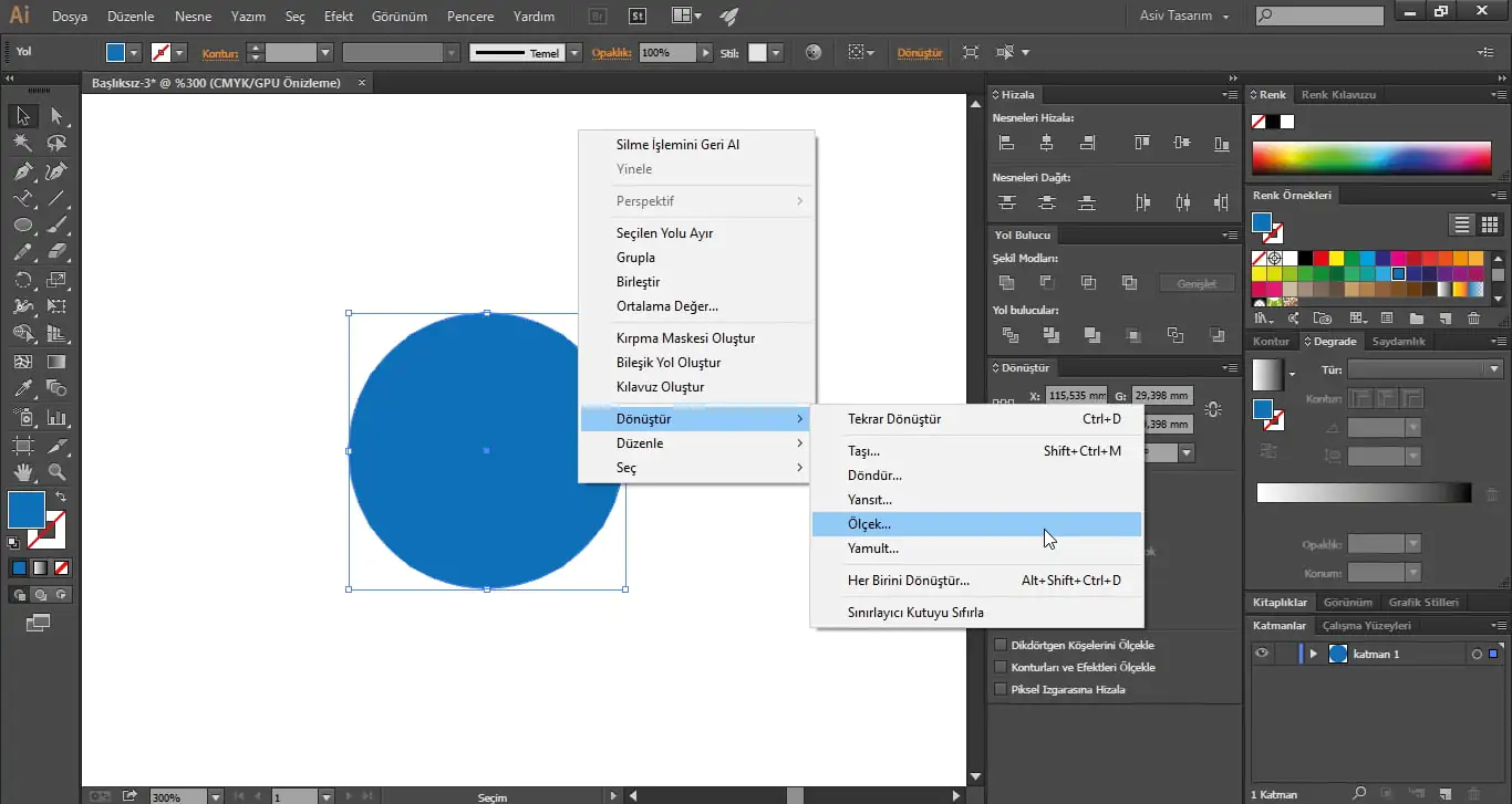 Illustrator CC Bir Nesneyi Belli Bir Ölçekte Küçültme