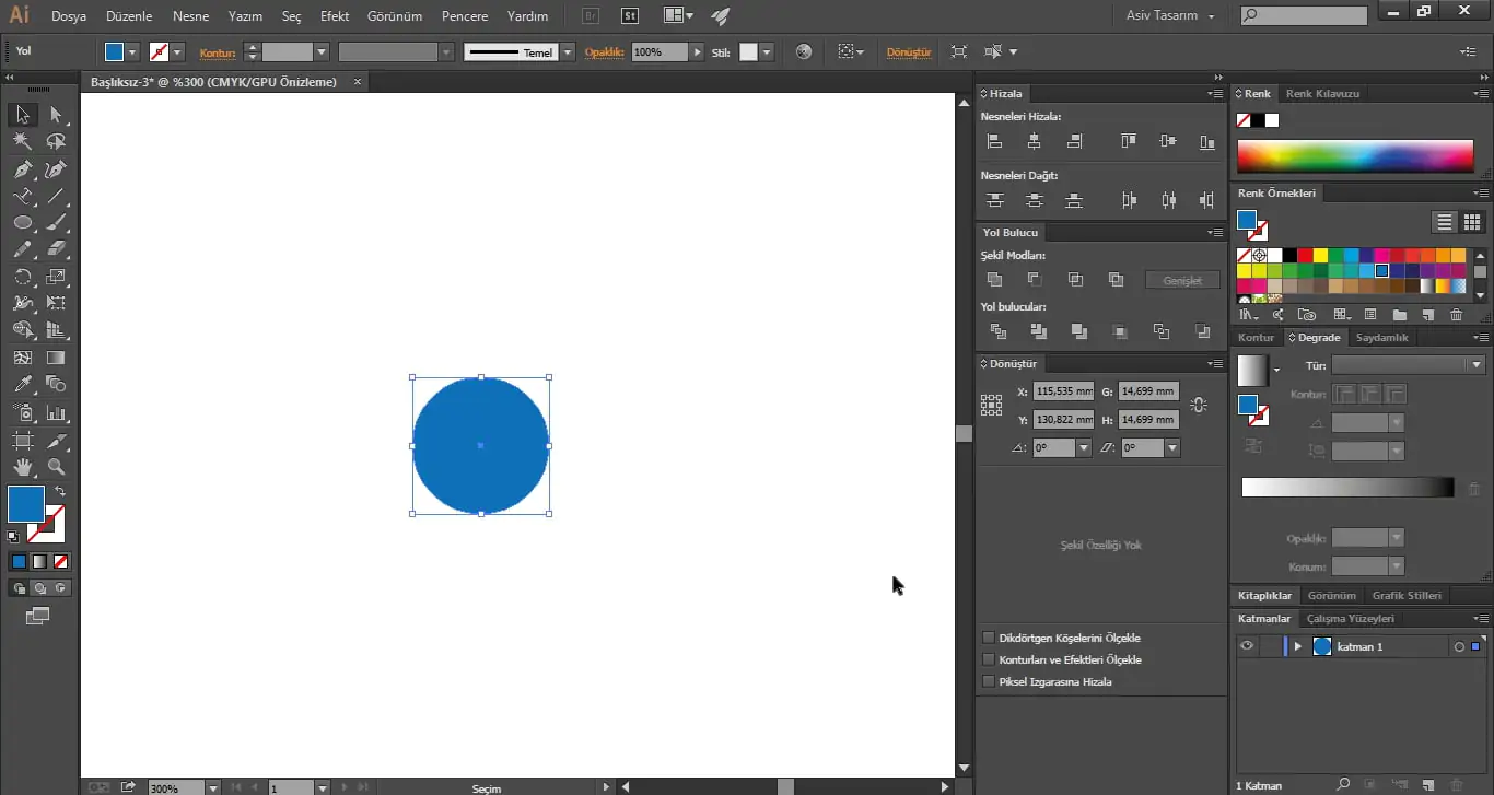 Illustrator CC Bir Nesneyi Belli Bir Ölçekte Küçültme
