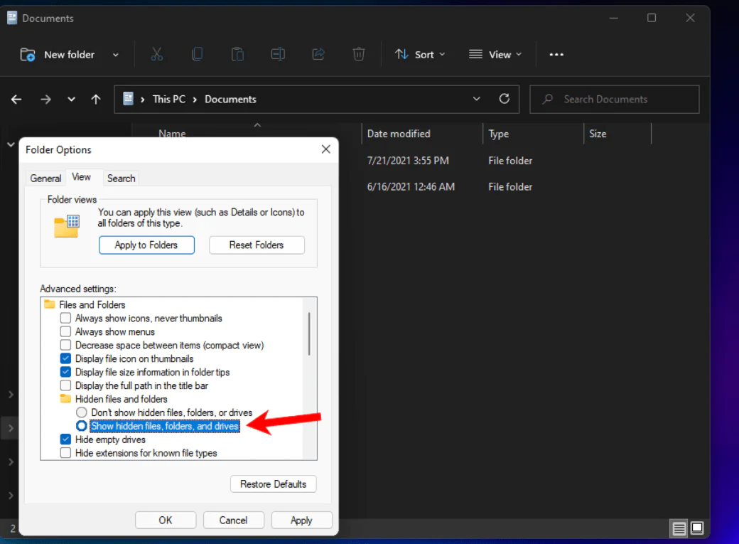 Windows 11 Gizli Klasörleri Açma