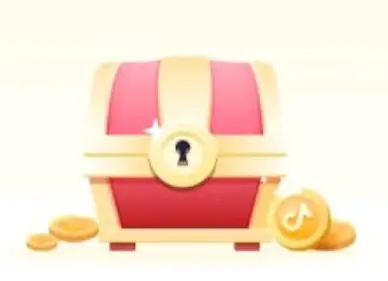 TikTok Sandık Nedir?