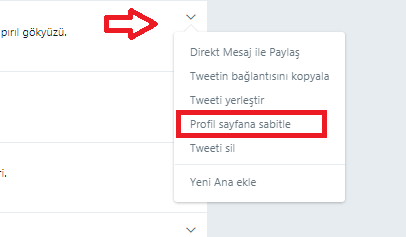 Twitter Hesabında Tweet Sabitleme (Resimli Anlatım)