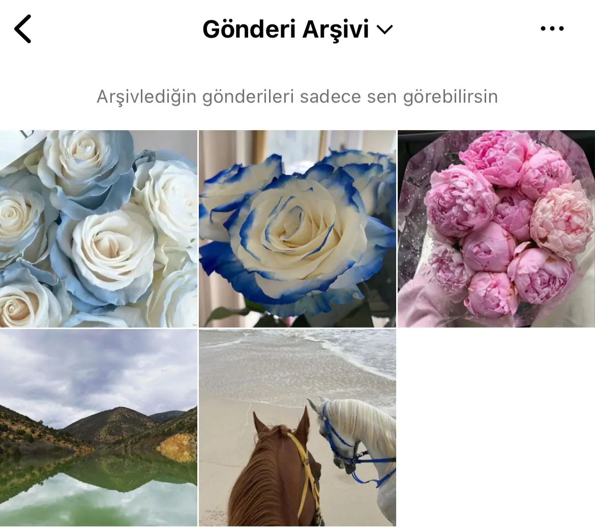Instagram Gönderi Arşivleme