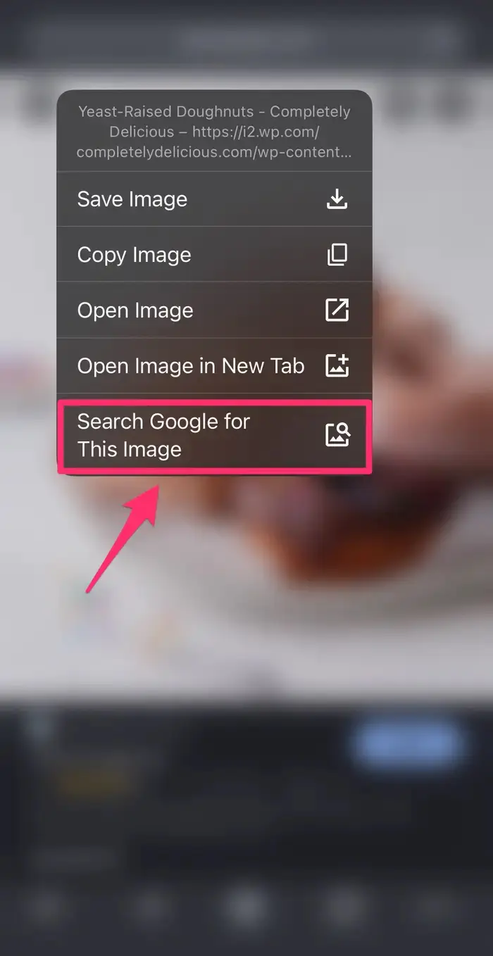 iPhone veya iPad Görsel Arama Yapma