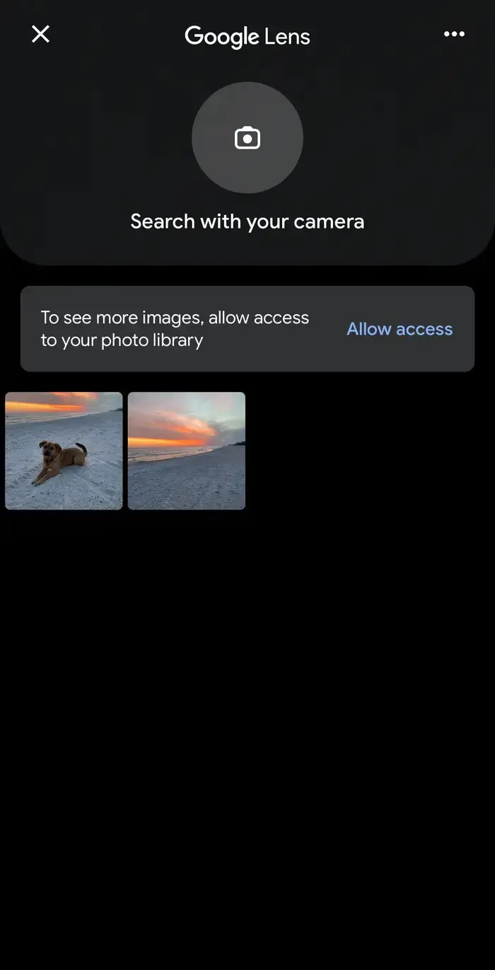iPhone veya iPad Görsel Arama Yapma