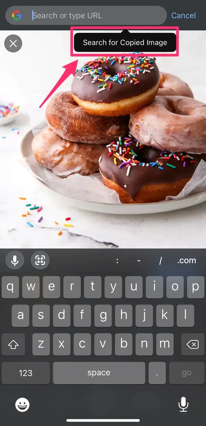 iPhone veya iPad Görsel Arama Yapma