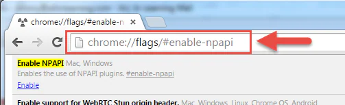 Google Chrome NPAPI