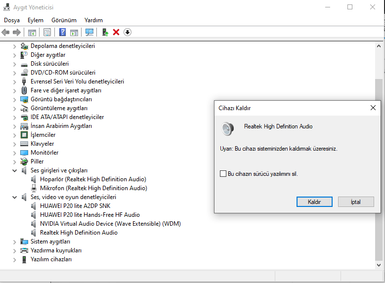 Realtek ses Adım Adım Kurulum
