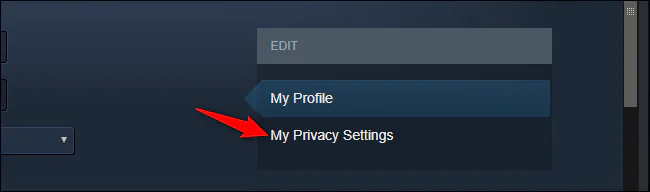 Steam Oynadığınız Oyunları Nasıl Gizlersiniz