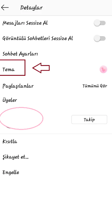 İnstagram Sohbet Teması Degiştirme