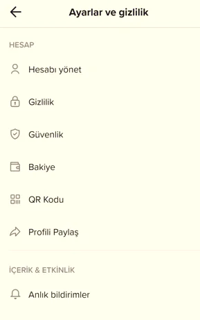 Tiktok Verilerini İndirme