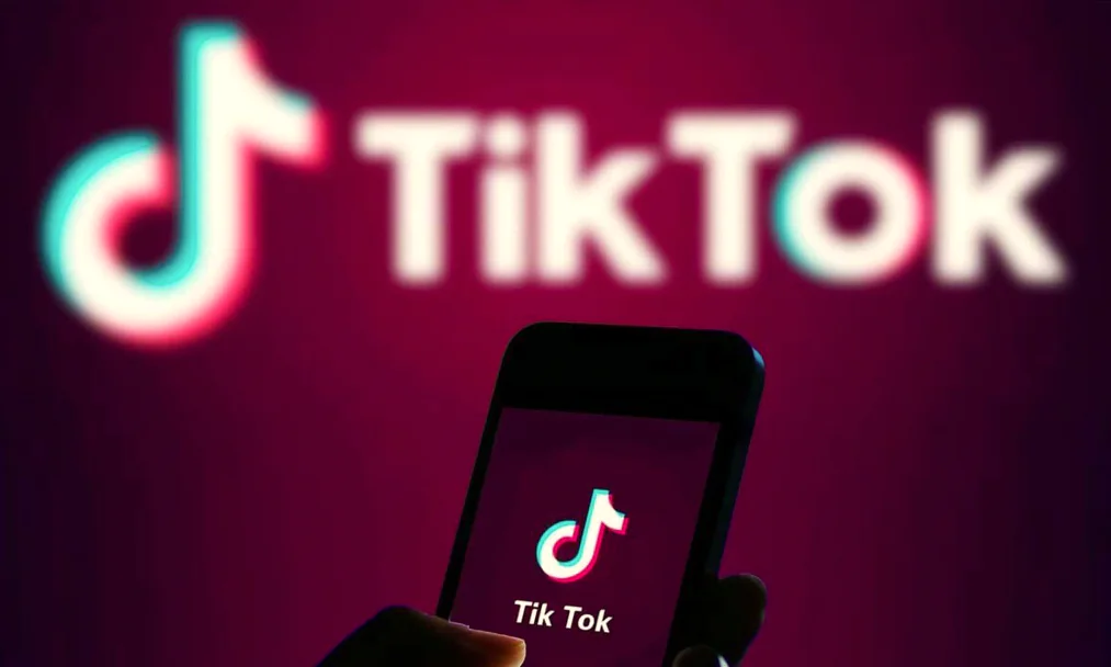 Tiktok Verilerini İndirme