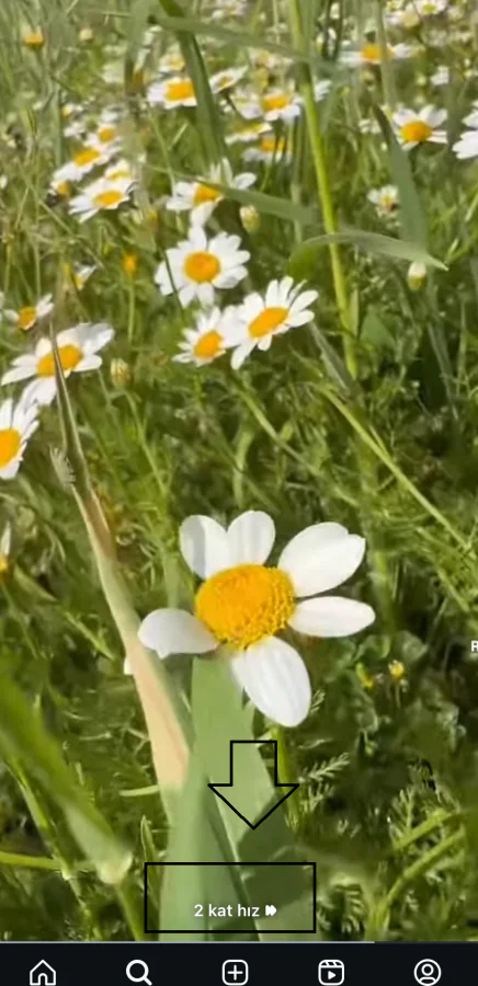 Instagram x2 hız ile Reels izleme