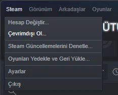 Steam çevrimdışı gözükme