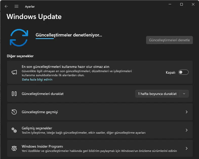 Windows 11 DirectX Hatası Nasıl Düzeltilir