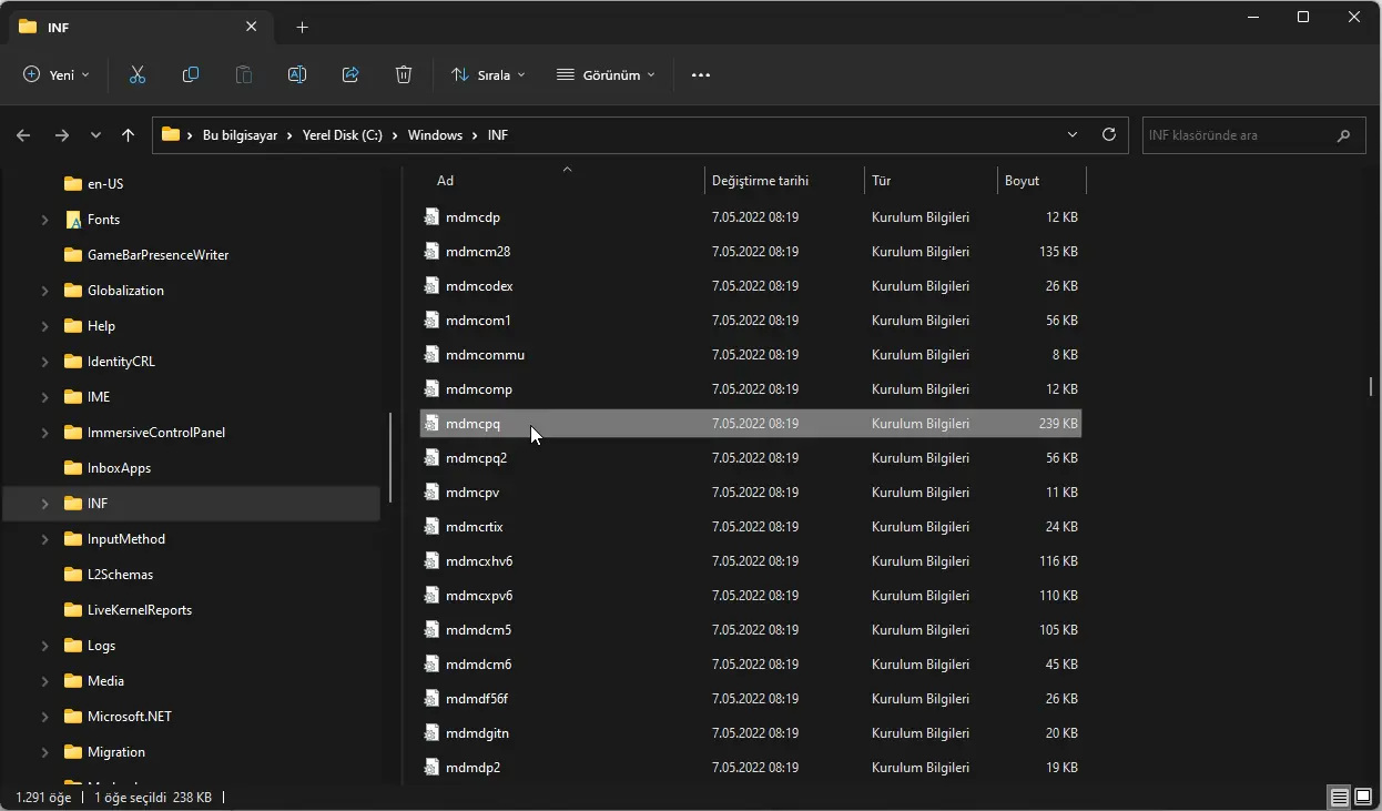 Bu INF Dosyasında Bir Hizmet Bölümü Geçersiz Hatası