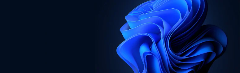 Windows 11 Home ile Pro Arasındaki Farklar