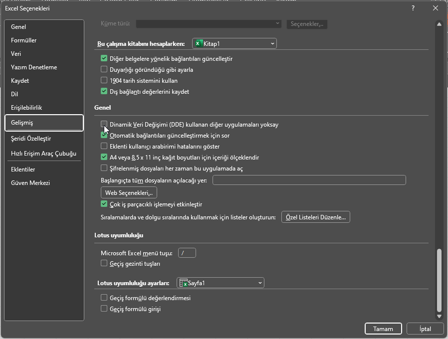 Windows 11 Bilgisayarda Excel Açılmıyor - Excel Seçenekleri