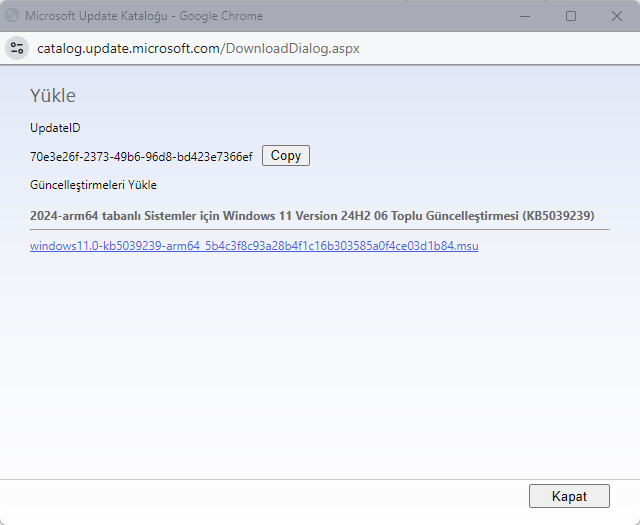 Windows 11 Güncellemeleri Manuel Yükleme