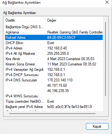 Windows 11'de Mac Adresi Nasıl Bulunur