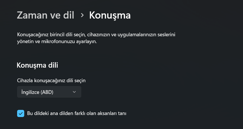 Windows 11 sesle yazma