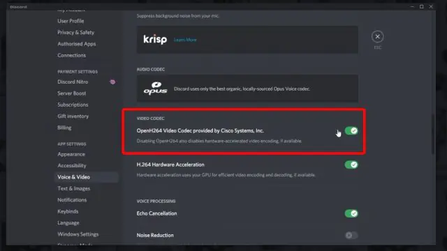 Discord Ekran Paylaşımı Sorunu