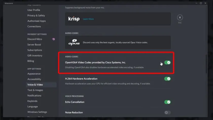 Discord Ekran Paylaşımı Sorunu - Görsel İllüstrasyon