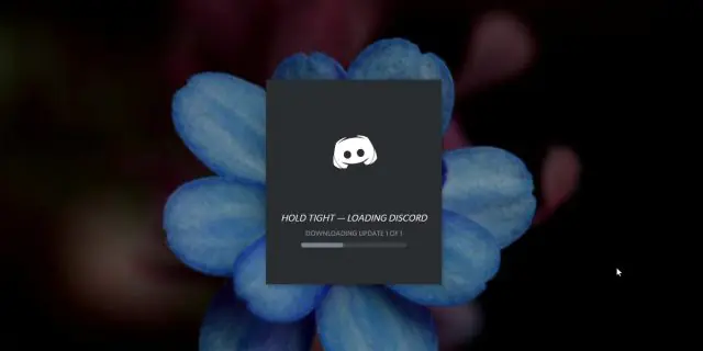 Discord Ekran Paylaşımı Sorunu - Discord'u Güncelleyin