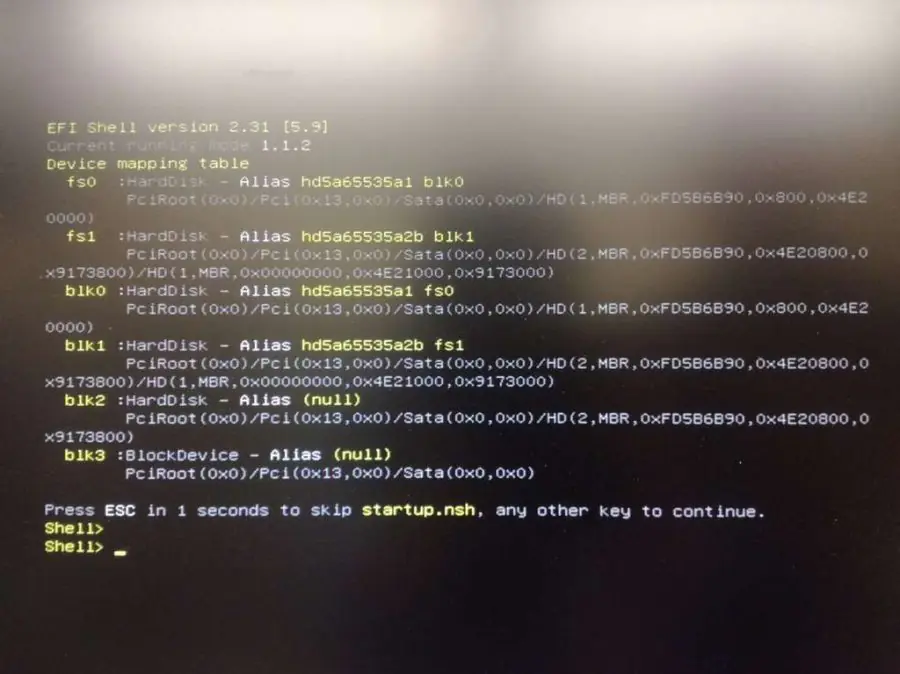 Kurulumda EFI Shell Hatası