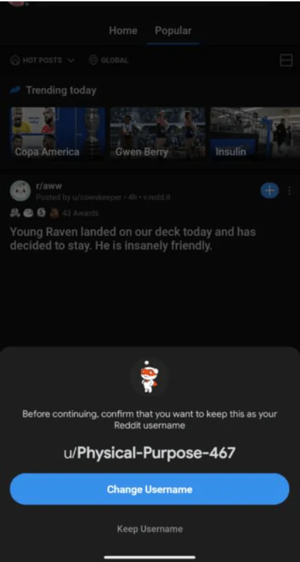 Reddit Kullanıcı Adımı Nasıl Değiştiririm