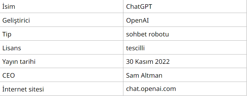 ChatGPT Nedir ve Nasıl Kullanılır