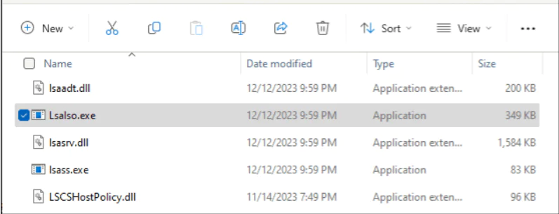 LsaIso exe Nedir ve Neden Çalışıyor