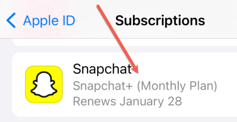 Snapchat Plus Nasıl İptal Edilir