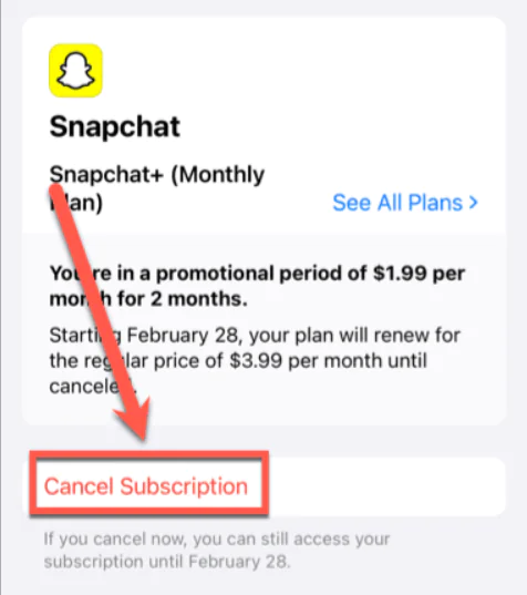 Snapchat Plus Nasıl İptal Edilir