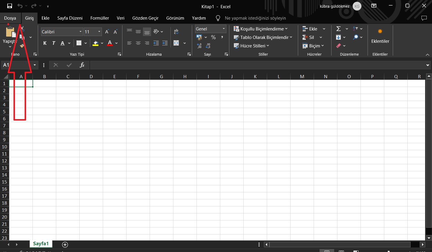 Excel'de Kılavuz Çizgisi Nedir