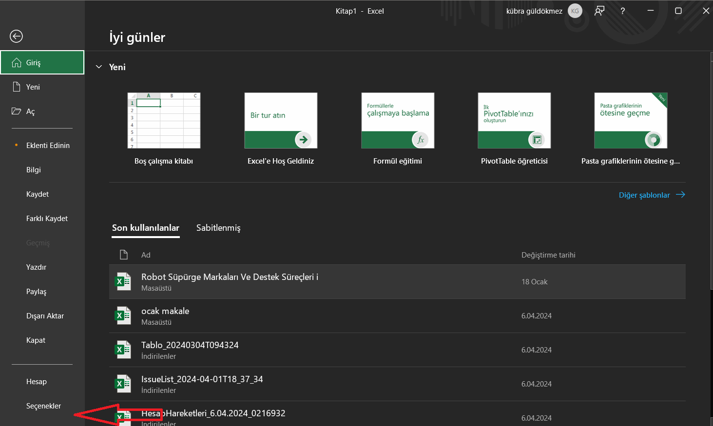 Excel'de Kılavuz Çizgisi Nedir