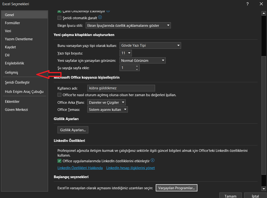 Excel'de Kılavuz Çizgisi Nedir