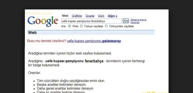 google-arama-cubugunda-aramayi-kolaylastirma-ve-aranan-kayit-bulunamadi-hatasi-cozumu-6