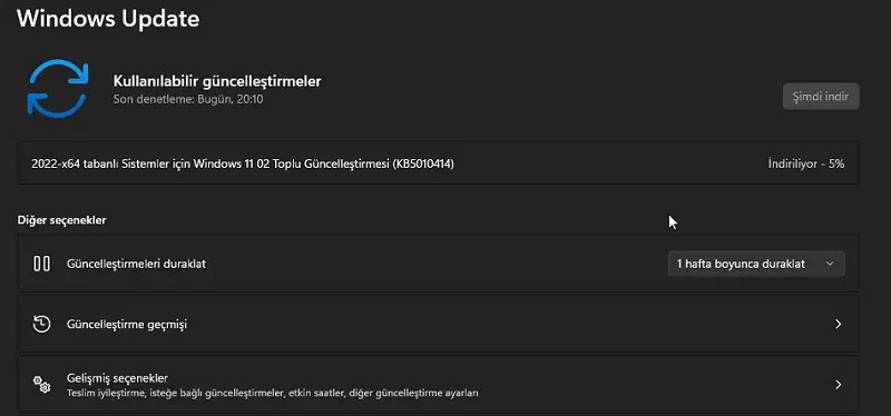 Windows Update Hatası 0x80190001 Çözümü