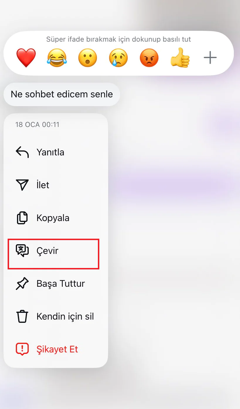 Instagram Gelen Mesajları Farklı Dille Çevirme