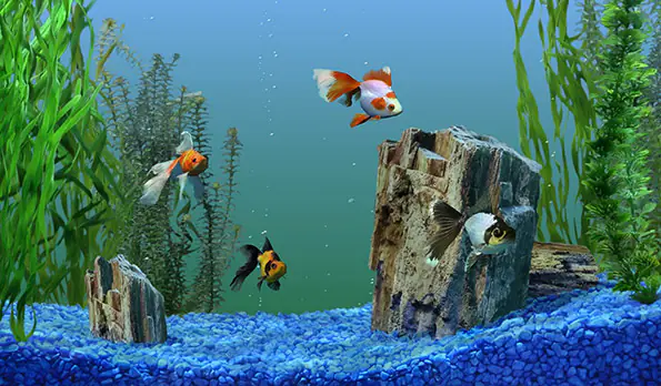 Windows İçin Ekran Koruyucu Uygulaması