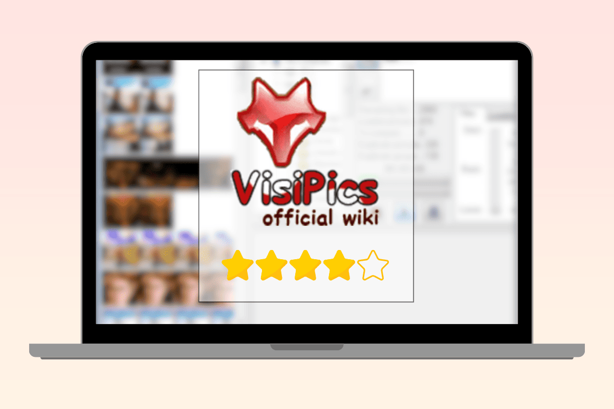 VisiPics Nedir?