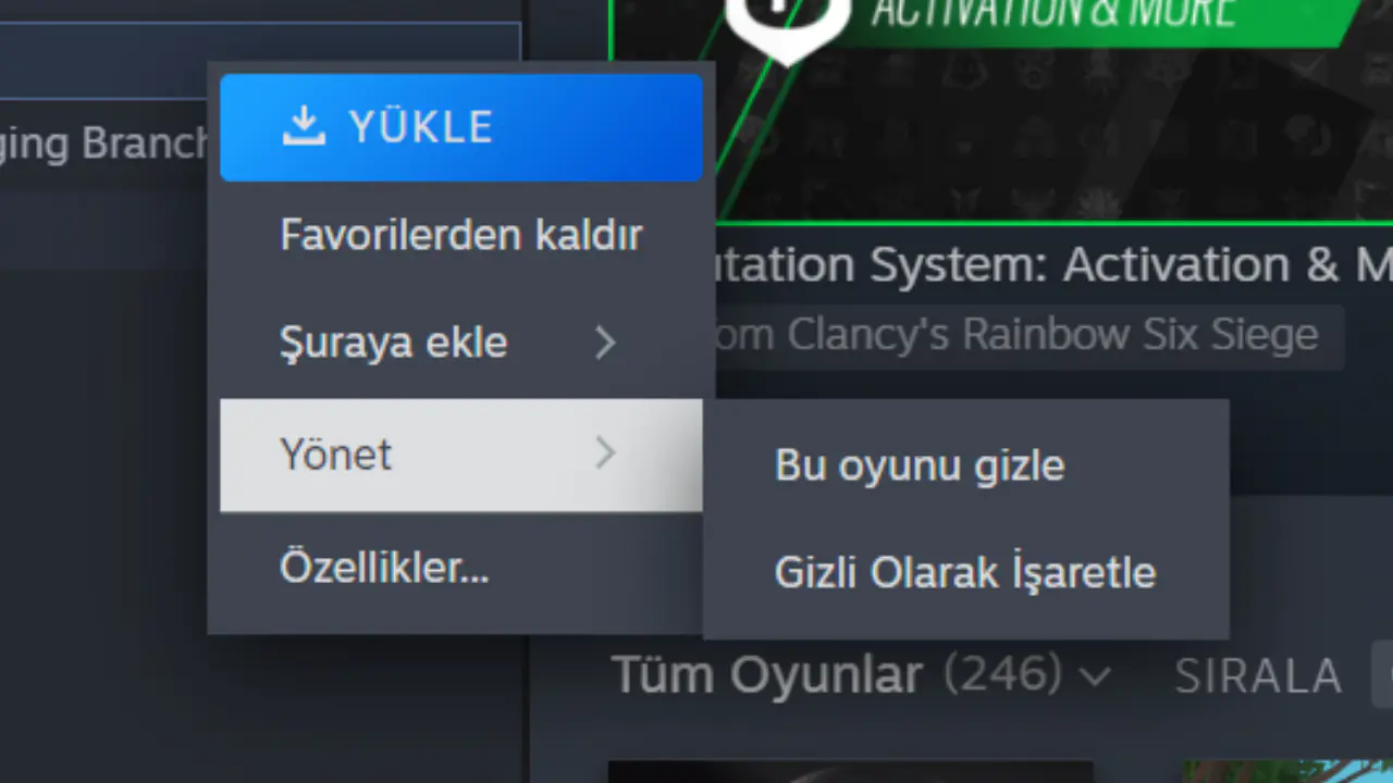 Steam çevrimdışı gözükme